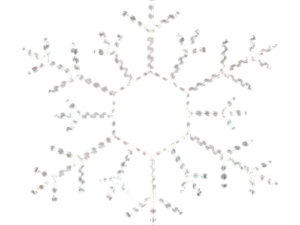 Gallatin Snowflake